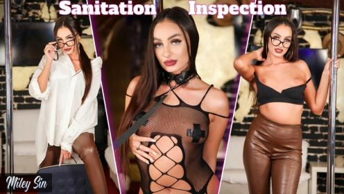 Sanitation Inspection - Miley Sin preview