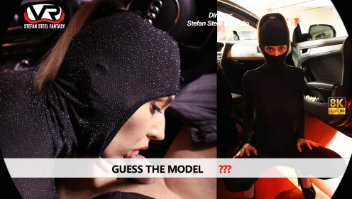 Guess the Model? preview