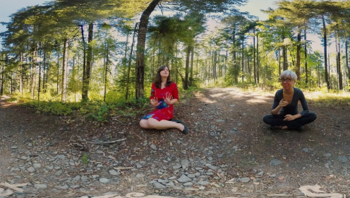 Raven Snow's Sensual VR Forest Adventure preview
