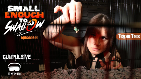 Small Enough to Swallow Episode 6 – Foot Fetish VR with Tegan Trex preview