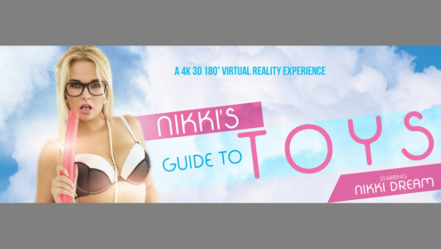 Nikky Dream's Hot VR Toy Play Guide preview
