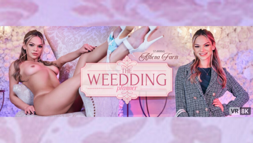 The Wedding Planner preview