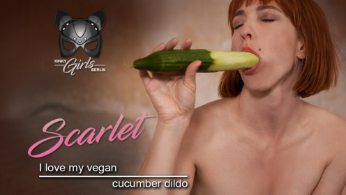 I Love My Vegan Cucumber Dildo preview