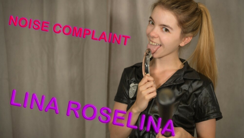 Noise Complaint preview