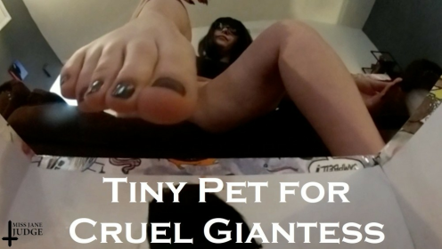 Tiny Pet for Cruel Giantess preview