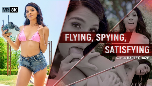 Flying, Spying, Satisfying preview