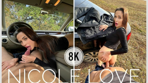 On A Trip With Sexy Nicole preview
