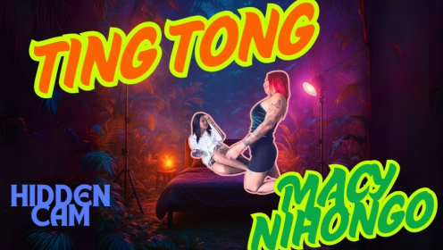 Macy Nihongo & Ting Tong Wild VR Adventure preview