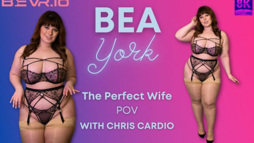 The Perfect Wife Pov preview