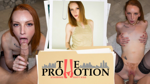 The Promotion - Digitally Remastered preview