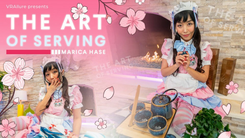 The Art Of Serving preview